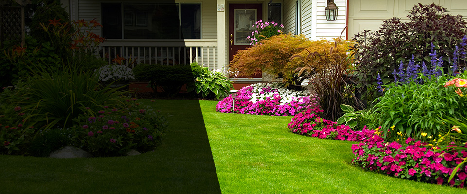 Elkview Landscapers